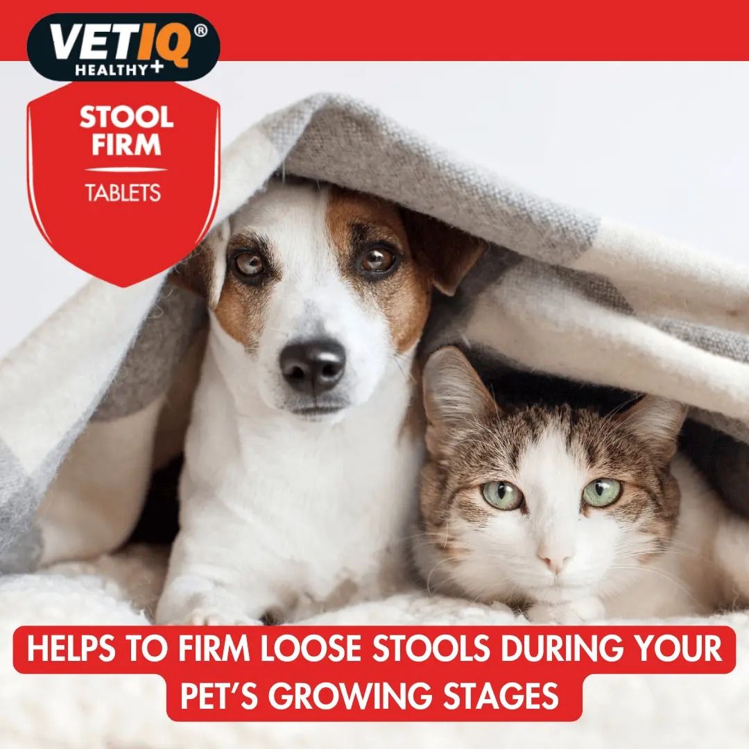 VETIQ Stool Firm for Cats & Dogs 45 Tablets -