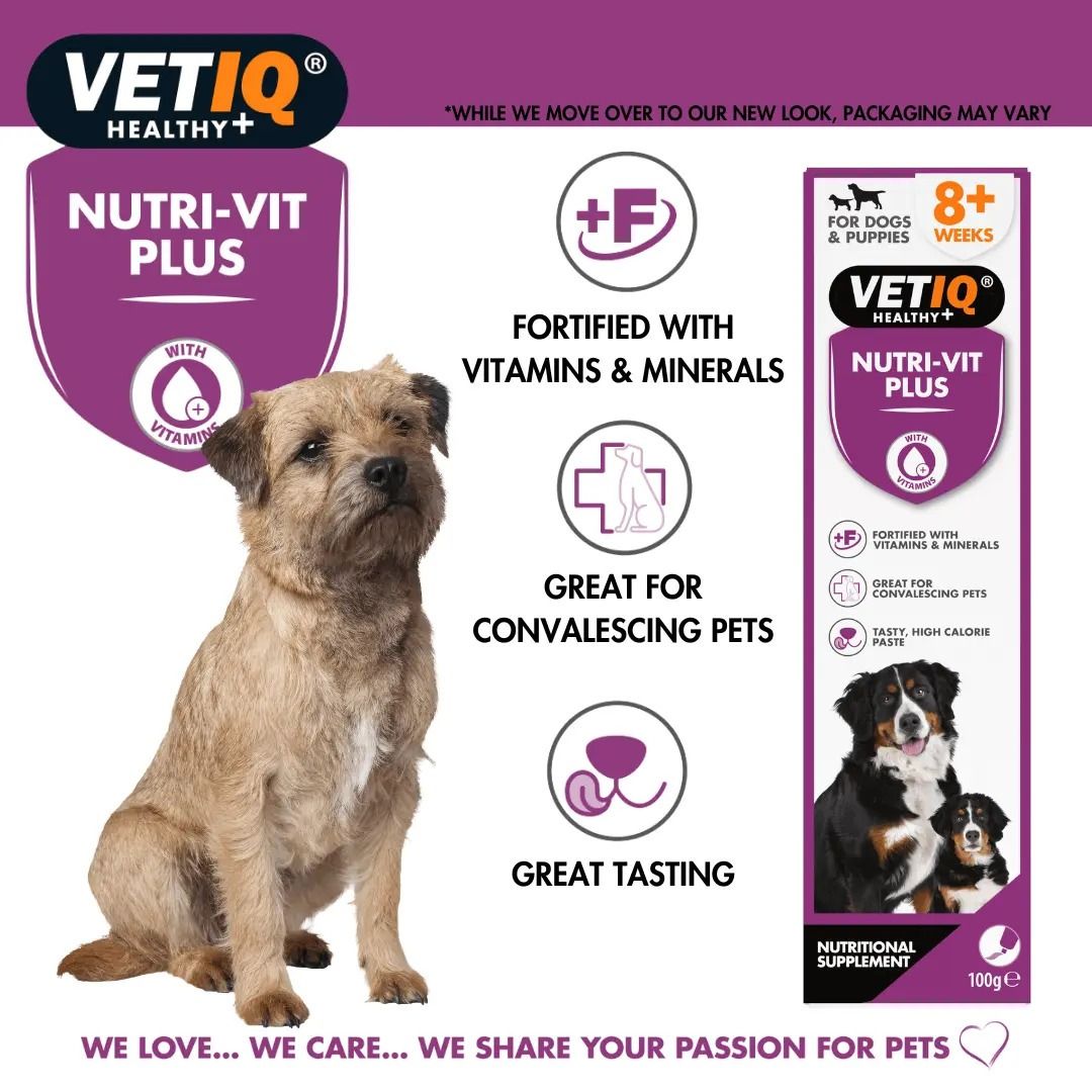 VETIQ Nutri-Vit Plus Dog Supplement 100g - 100g