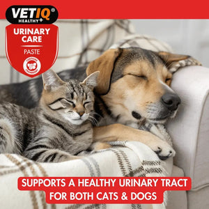 VETIQ Urinary Care Cats & Dogs Paste 100g - 100g
