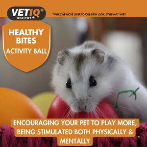 VETIQ Healthy Bites Activity Ball For Small Animals -