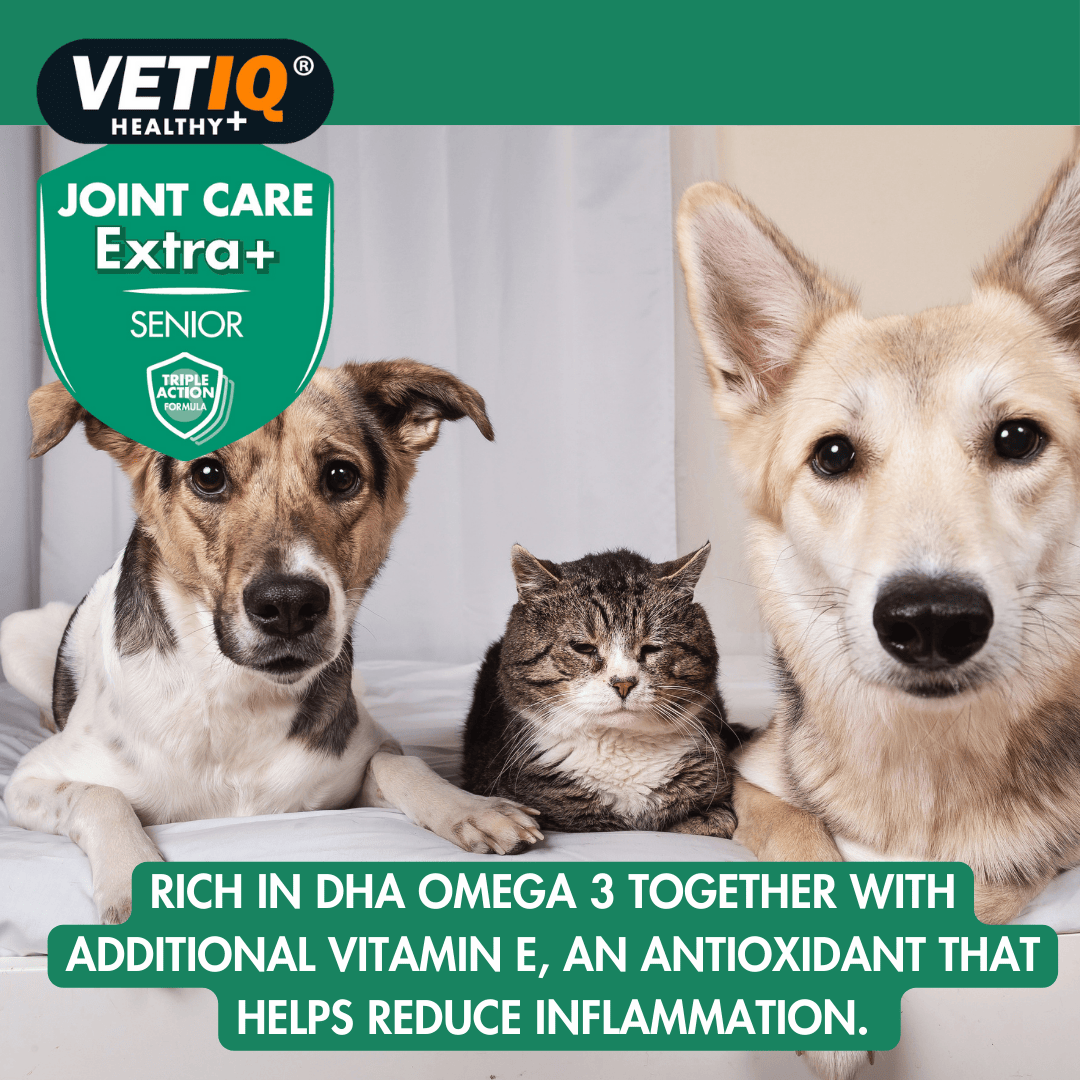 VETIQ Joint Care Extra+ Senior Cat & Dog Supplement 45 Tablets -