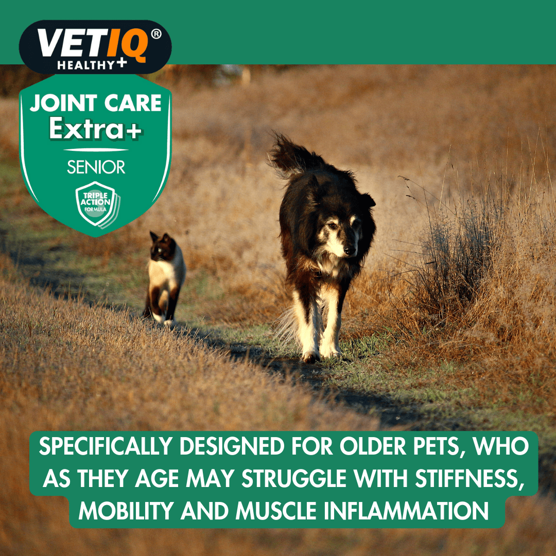 VETIQ Joint Care Extra+ Senior Cat & Dog Supplement 45 Tablets -