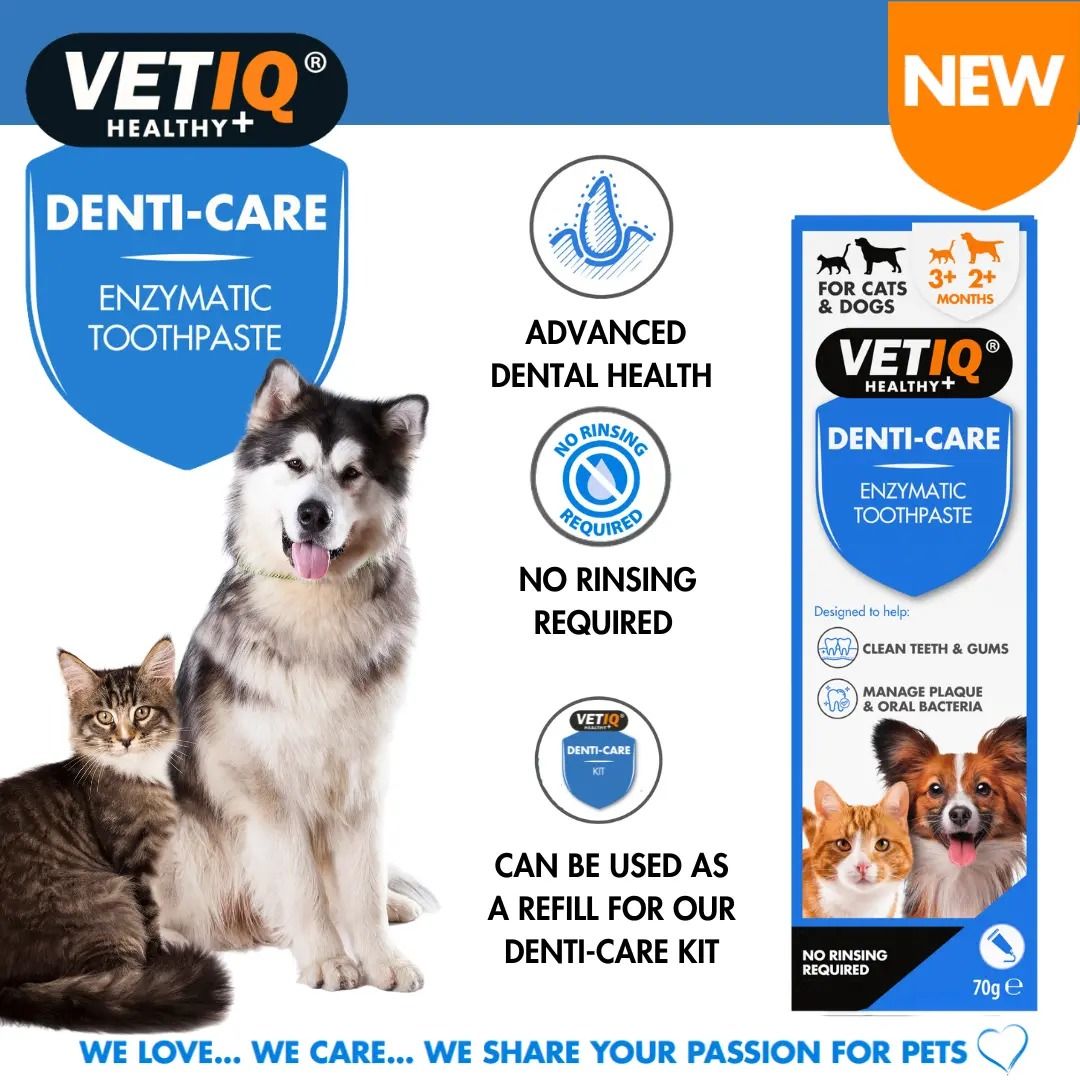 VETIQ Denti-Care Cat & Dog Enzymatic Toothpaste 70g - 70g