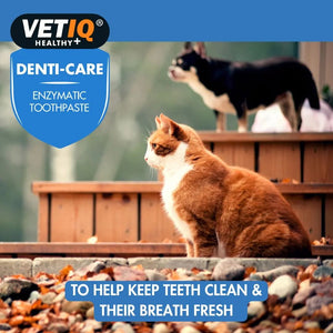 VETIQ Denti-Care Cat & Dog Enzymatic Toothpaste 70g - 70g