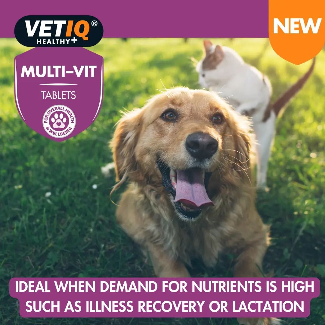 VETIQ Multi-Vit Cat & Dog Supplement 45 Tablets
