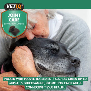 VETIQ Joint Care Dog Supplement Chews 230g - 230g