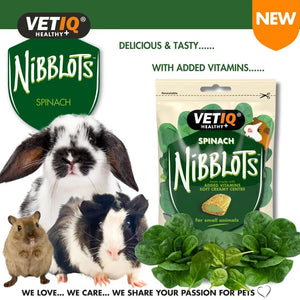 VETIQ Nibblots Spinach Small Animal Treats 30g - 30g