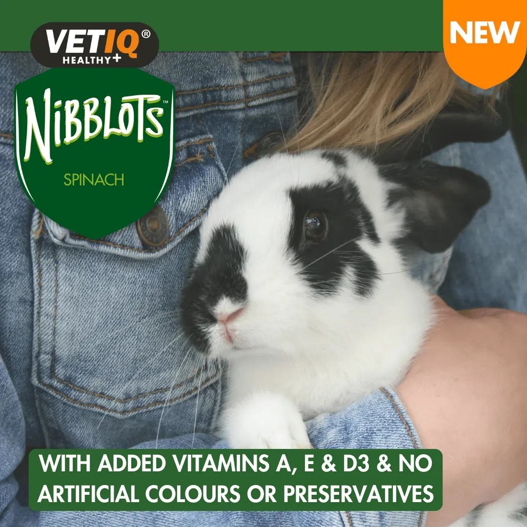 VETIQ Nibblots Spinach Small Animal Treats 30g - 30g