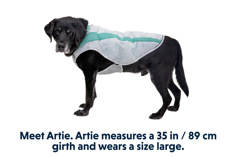Ruffwear Swamp Cooler Cooling Dog Vest - BLUE XX-Small