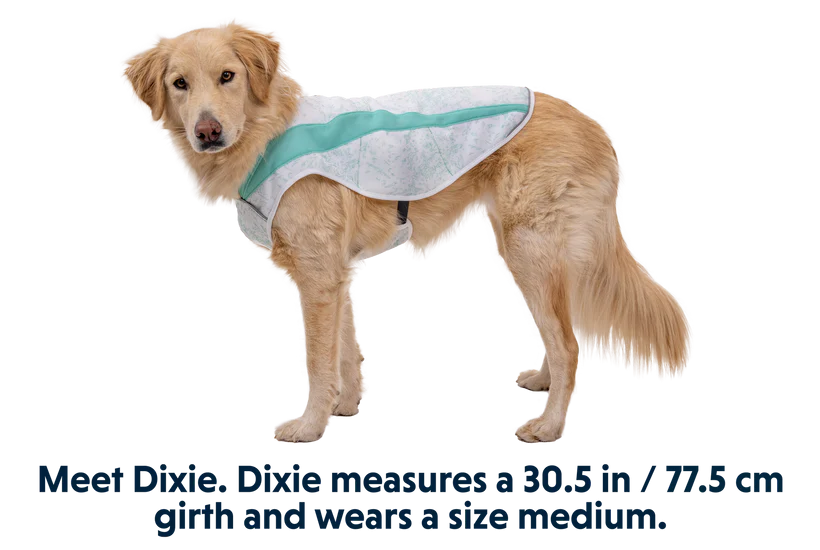 Ruffwear Swamp Cooler Cooling Dog Vest - GREEN Small