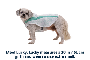 Ruffwear Swamp Cooler Cooling Dog Vest - Grey XX-Small