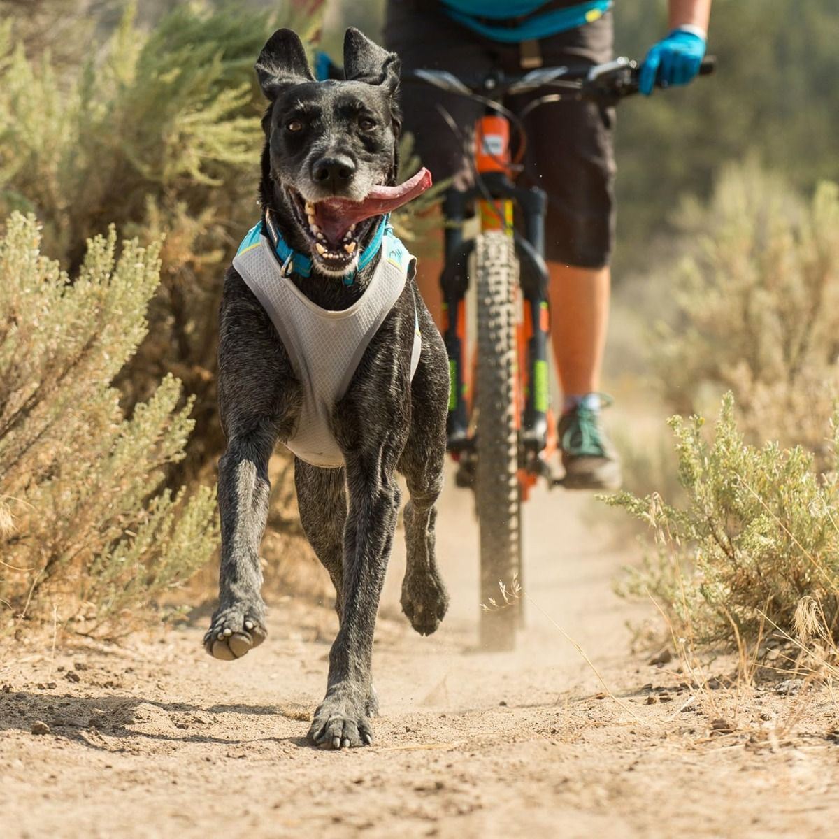 Ruffwear Jet Stream Dog Cooling Vest - Blue XXS