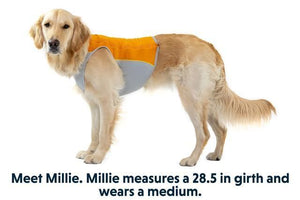 Ruffwear Jet Stream Dog Cooling Vest - ORANGE Large