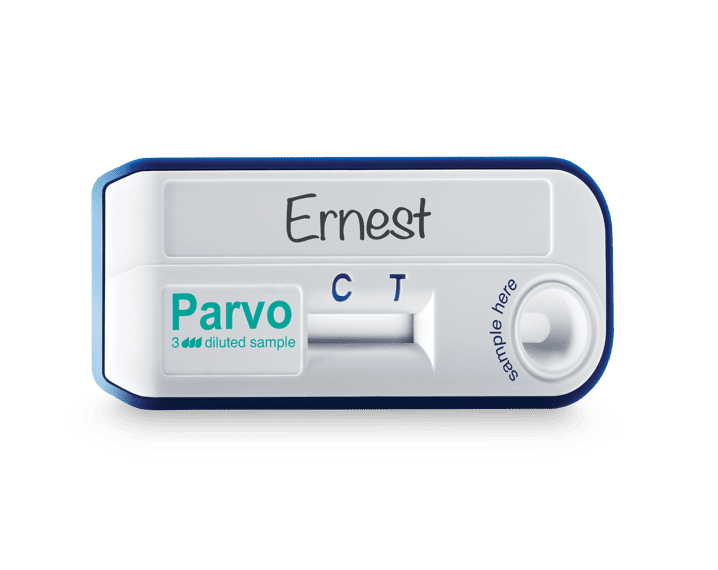 VETSCAN CANINE PARVOVIRUS ANTIGEN TEST KIT BOX OF 10
