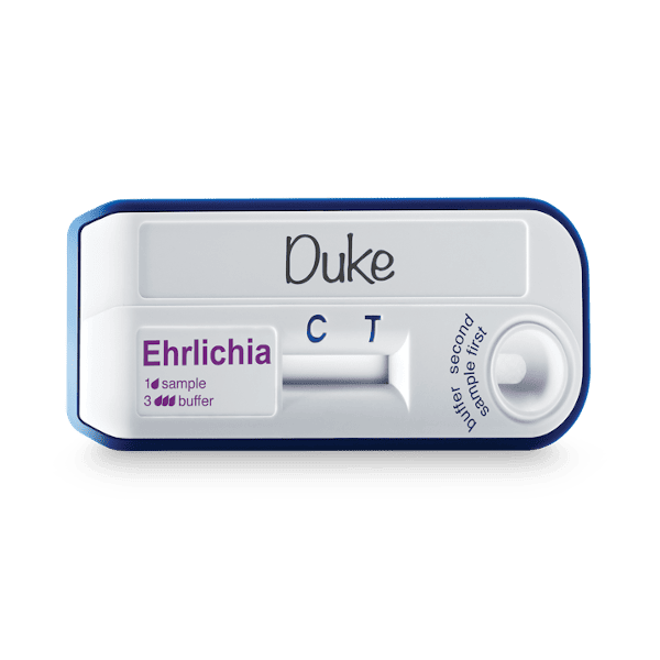 CANINE EHRLICHIA ANTIBODY RAPID TEST BOX OF 25