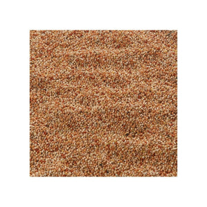 Flamingo Parakeet Bird Food 1kg - 1kg