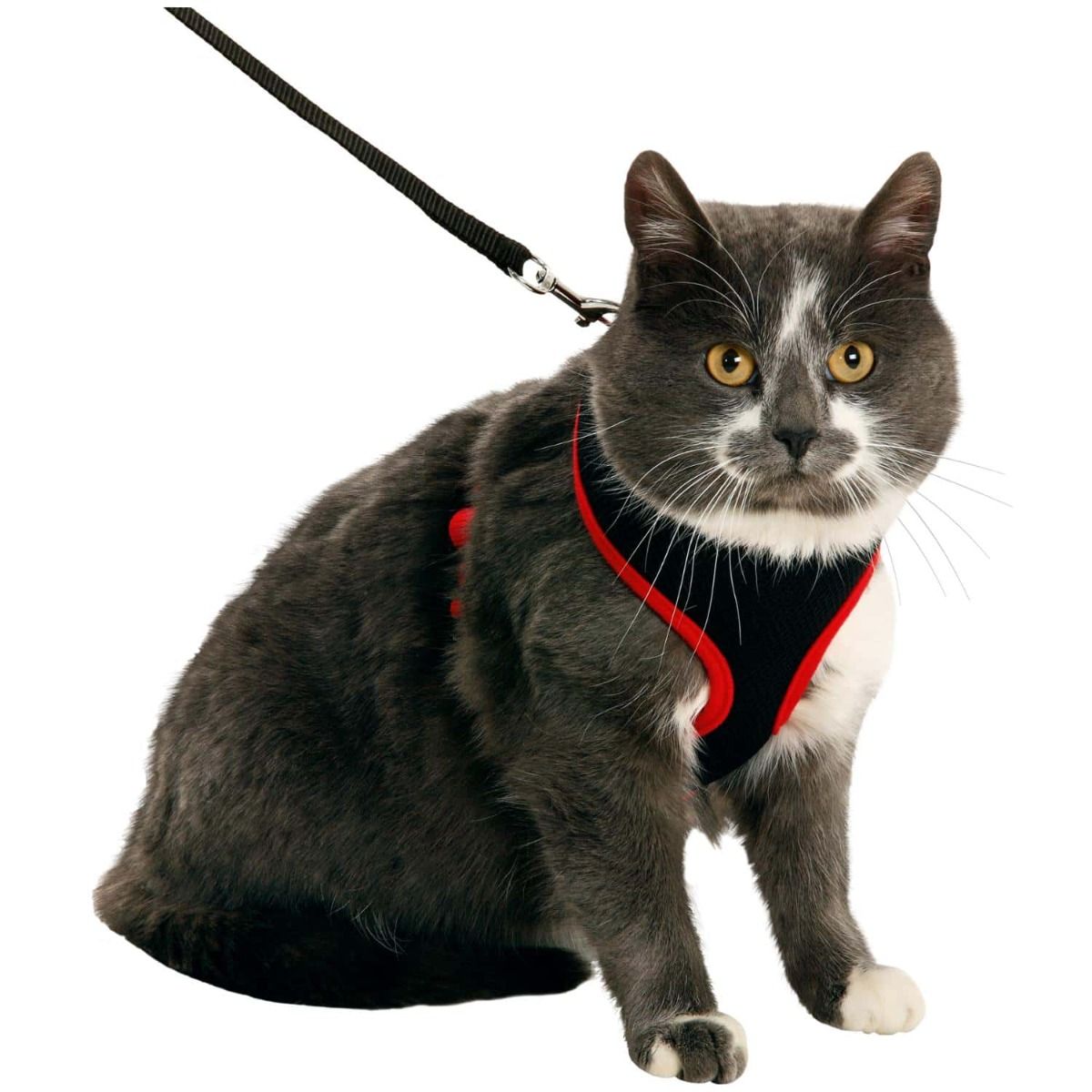 Flamingo Harms Cat Harness & Leash Red & Black - Medium