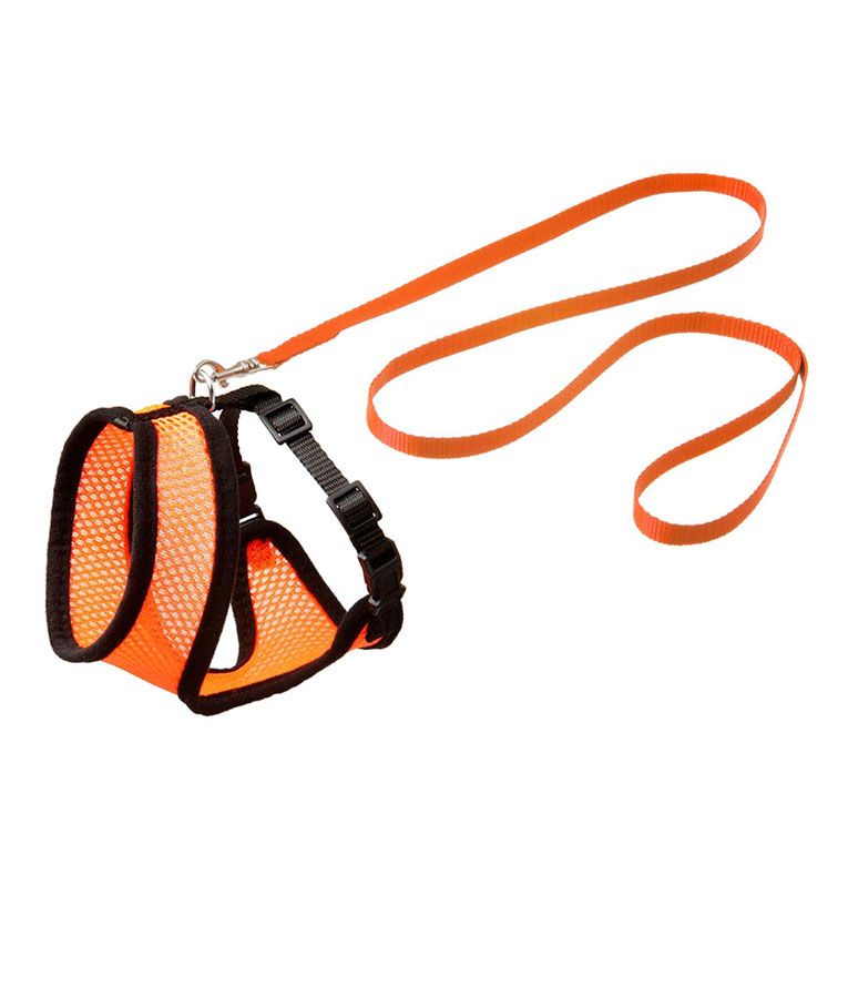 Flamingo Harms Cat Harness & Leash Orange & Black - ORANGE Medium