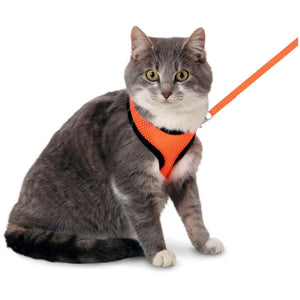 Flamingo Harms Cat Harness & Leash Orange & Black - ORANGE Medium