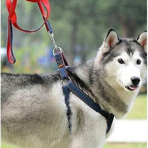 Dog Leash Harness Adjustable & Durable Leash Set & Heavy Duty Denim Dog Leash Collar - dark-blue - small