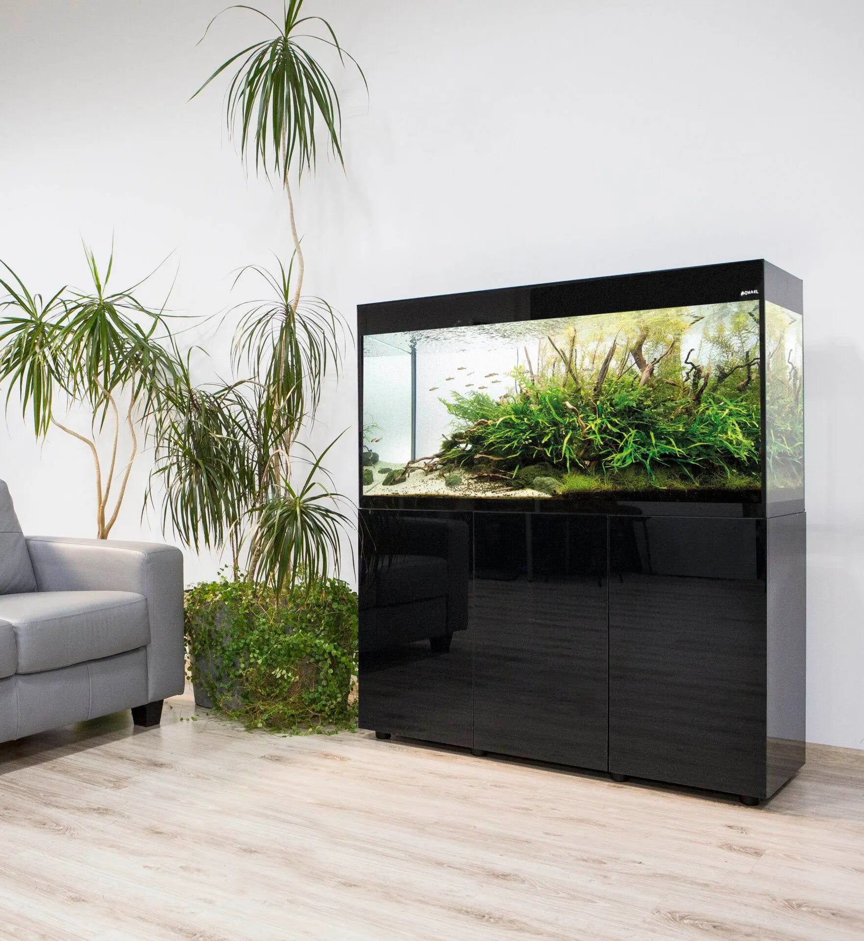 Aquael Aquarium Glossy Day & Night black[Dimension - 150 x 50 x 63cm]