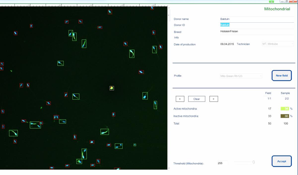 ANDROVISION® SOFTWARE MODULE: ACTIVITY OF MITOCHONDRIA