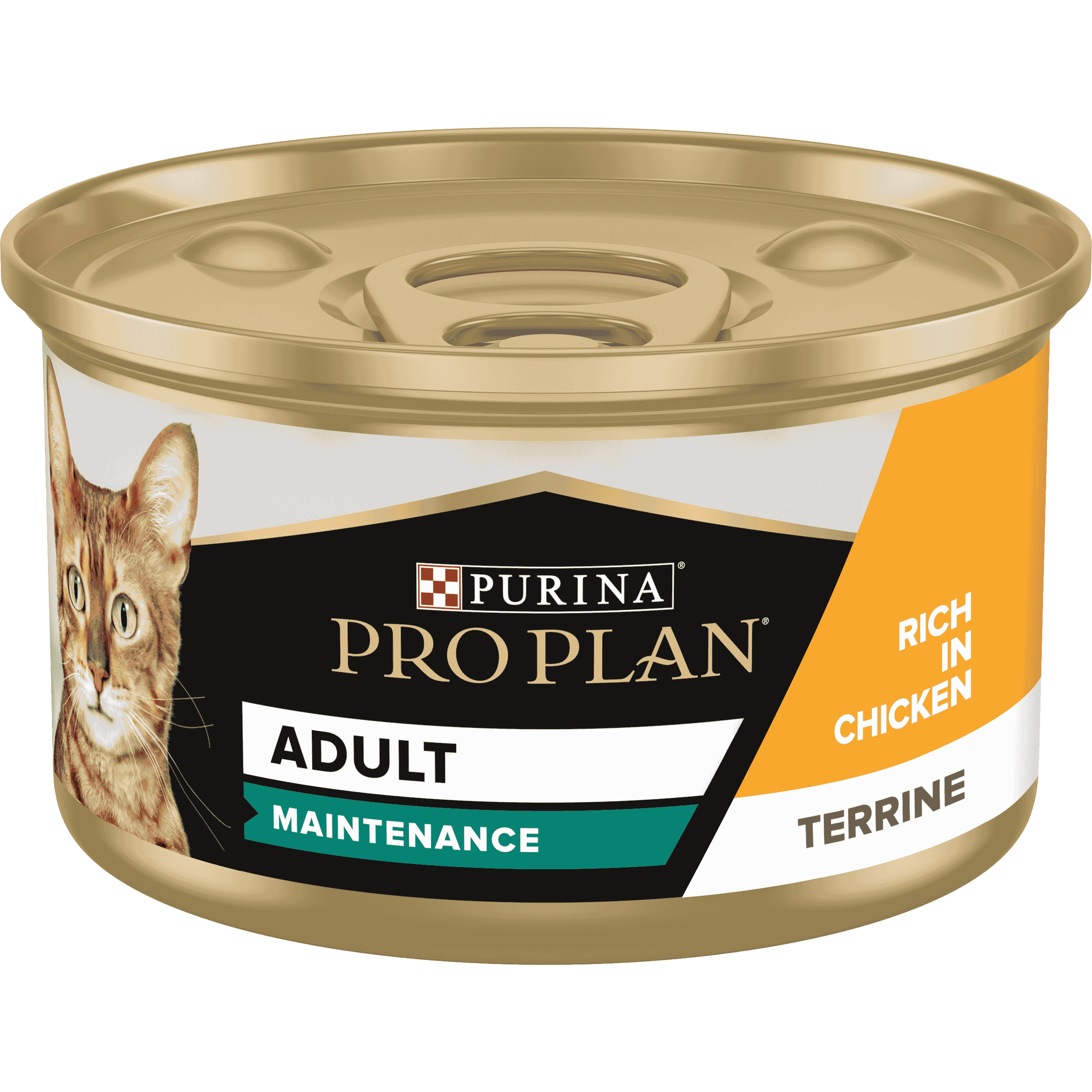 PRO PLAN ADULT MAINTENANCE, WET CAT FOOD, TERRINE RICH IN CHICKEN, 24 X 85G