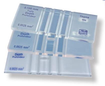 COUNTING CHAMBER "THOMA NEW", WITH 2 COVER GLASS