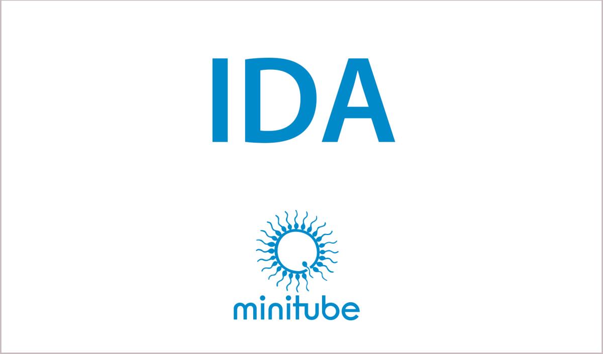 IDA STANDARD LAB SOFTWARE