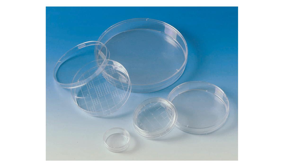PETRI DISH 35 MM PLASTIC,10/PCKG