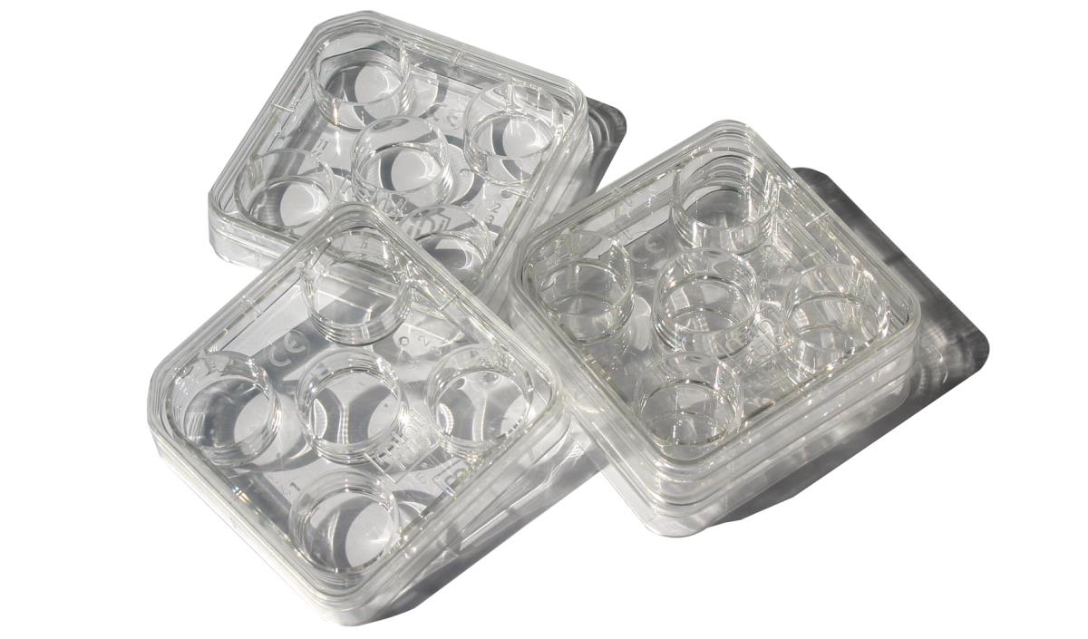 CULTURE DISH 5 WELLS WITH LID,STERILIZED, 4/PACKAGE
