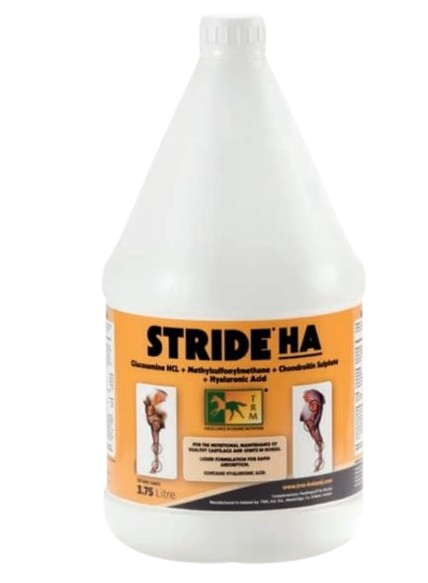 STRIDE НА TRM 3.75Liter