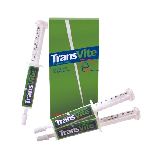 TRANSVITE Probiotic Paste 30gm