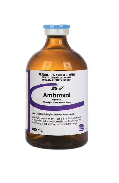 Ambroxol Ceva 100 ml