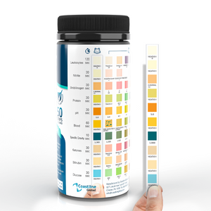 CheckUp 10 Parameter Urine Testing Stripes *50