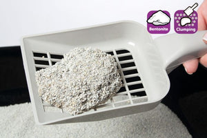 Flamingo Bentonite Baby Powder Scent Clumping Cat Litter - 7KG