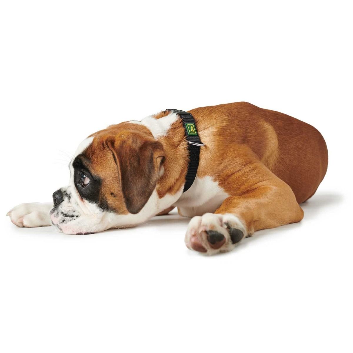 Hunter Vario Basic Nylon Dog Collar - Black Small