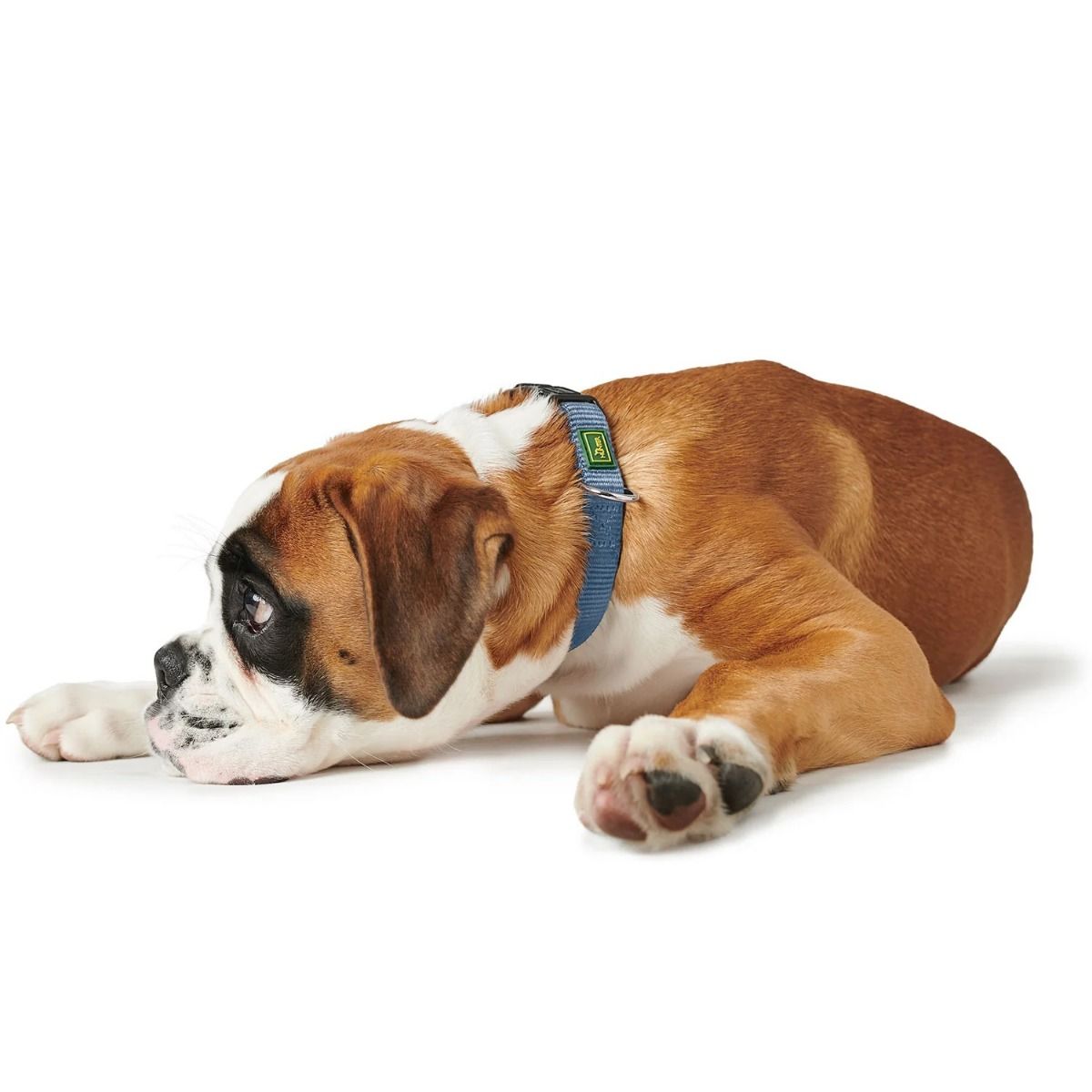 Hunter Vario Basic Nylon Dog Collar - Smoky Blue Small