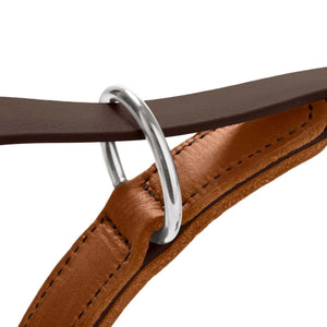 Hunter Wolmar BioThane x Leather Training Dog Leash - Chocolate-Cognac 19/200