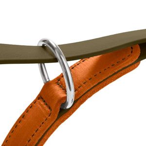 Hunter Wolmar BioThane x Leather Training Dog Leash - Khaki-Orange 19/200