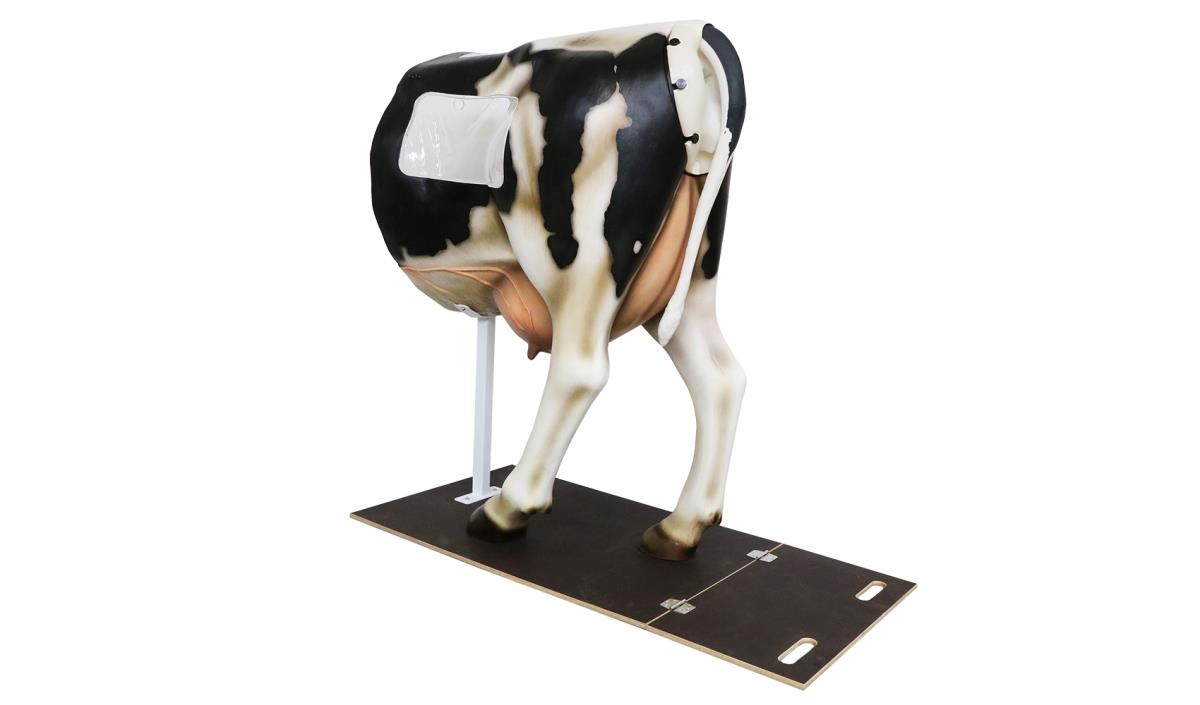 ARTIFICIAL COW HENRYETTA, MODEL SIMMENTHAL, NATURAL COW SIZ