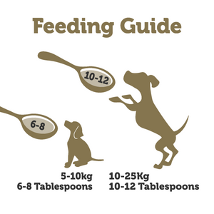 Applaws Taste Toppers Chicken Bone Broth with Turmeric & Parsley Wet Dog Food Pouch 200g - 200ml