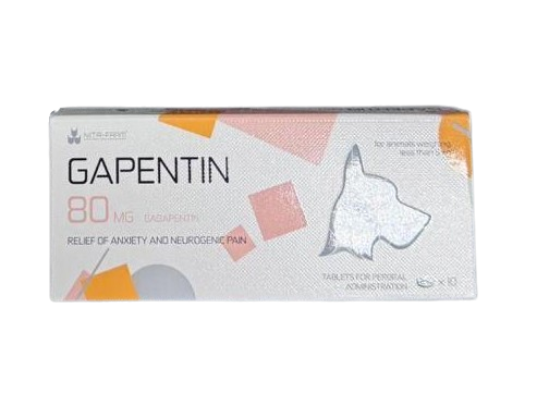 GAPENTIN 80mg 10 tablets