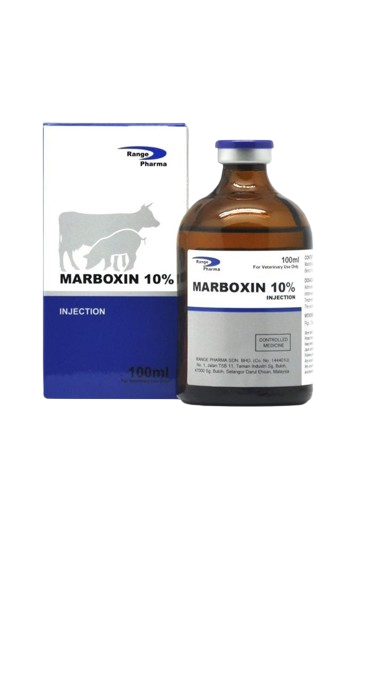 MARBOXIN 10% (Marbofloxacin) 100ml