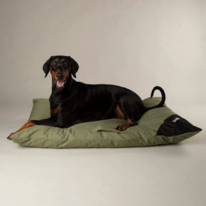 Scruffs Expedition Memory Pillow Dog Bed - Khaki Green Large