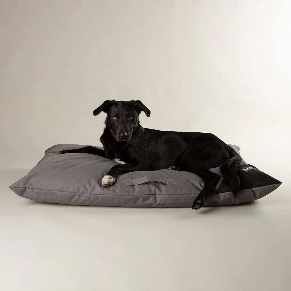 Scruffs Expedition Memory Pillow Dog Bed - Storm Grey Large