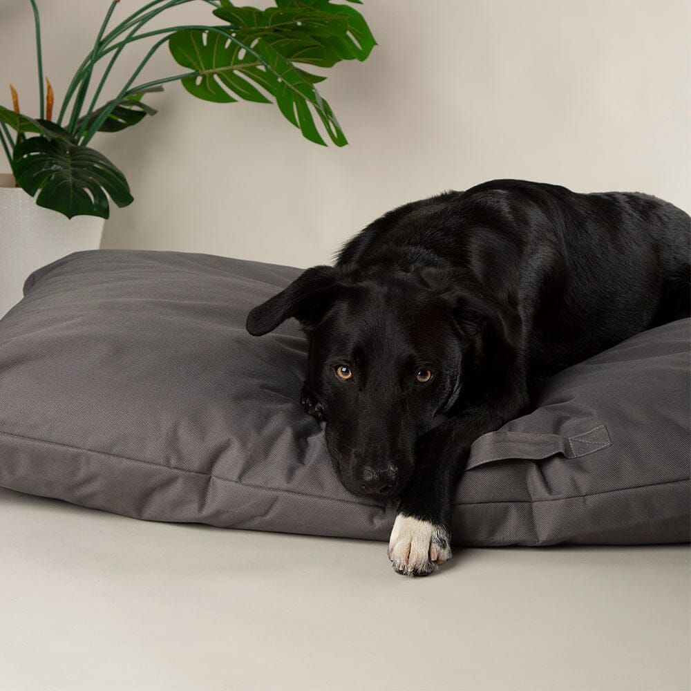 Scruffs Expedition Memory Pillow Dog Bed - Storm Grey X-Large