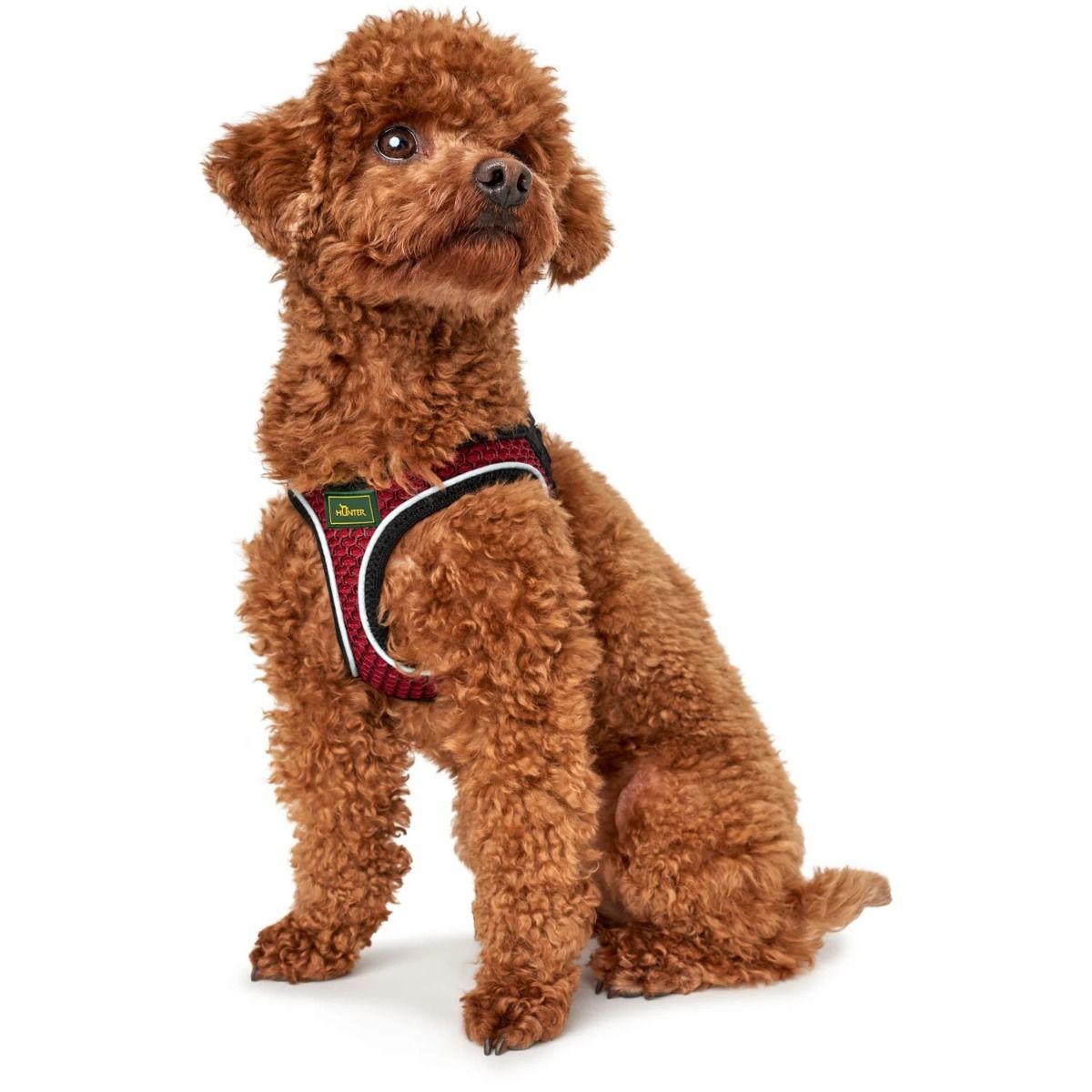 Hunter Hilo Comfort Dog Harness - RED Small
