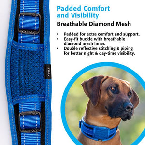 Rogz Classic Padded Dog Collar - BLUE Large