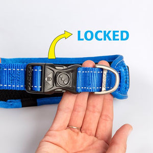 Rogz Classic Padded Dog Collar - BLUE Large